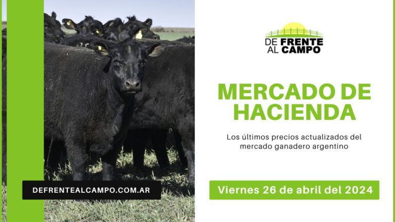 Informe del Mercado Ganadero de Cañuelas Precios índices y categorías