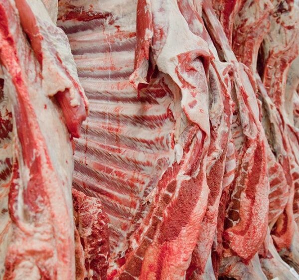 Exportaciones de carne argentina alcanzan récord en 57 años, pero el consumo interno sigue en baja