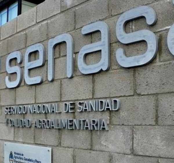 Se implementan mejoras tecnológicas en los certificados sanitarios de exportación