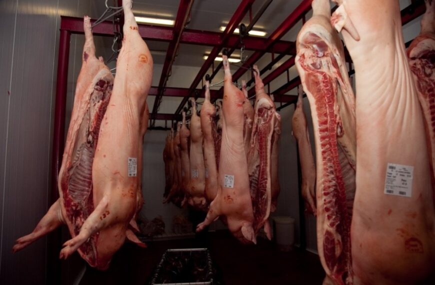 Uruguay finalmente habilitó la importación de carne porcina sin hueso de Argentina