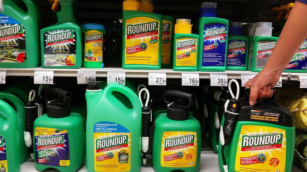 Bayer se desploma 12% en la bolsa tras la condena contra Monsanto por el glifosato