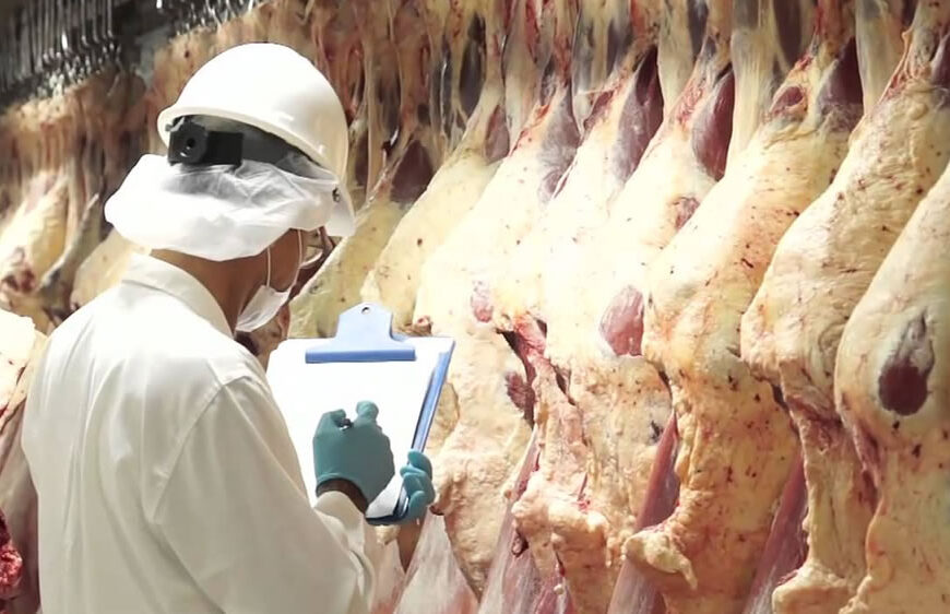 Tendencia creciente: Carne vacuna aportaría más divisas por aumento de las exportaciones al 2030