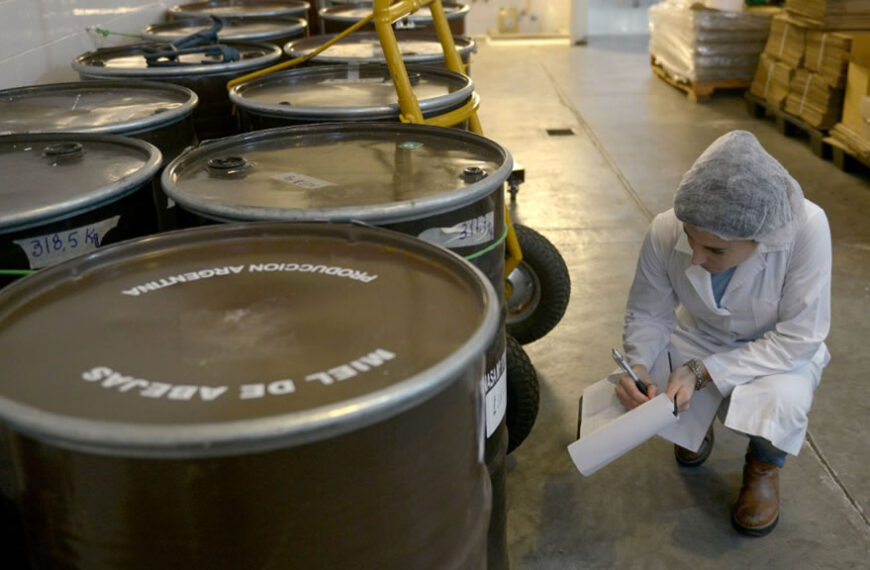 Con más de 6700 colmenas certificadas, Santa Fe es la segunda provincia productora de miel orgánica de Argentina