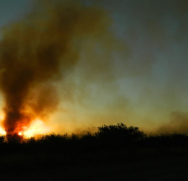 Advierten por numerosos focos de calor que podrían derivar en incendios en zonas agrícolas