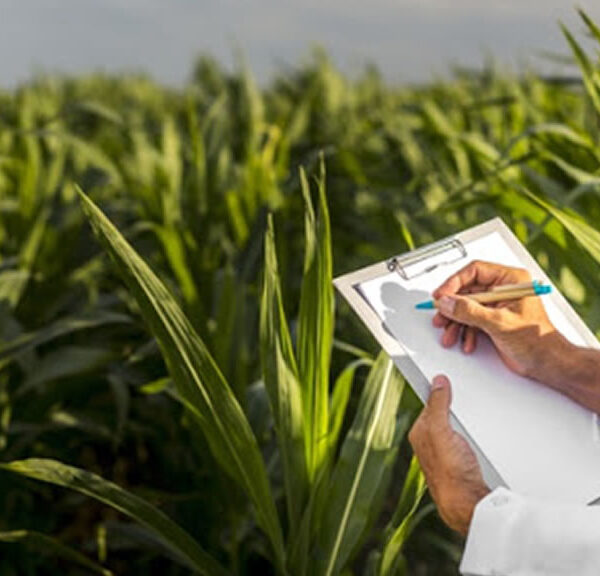 El gobierno liquidó normativa kirchnerista destinada al agro: Adiós a los DJEC, el fideicomiso aceitero y la Unidad de Perspectiva de Género del Ministerio de Agricultura