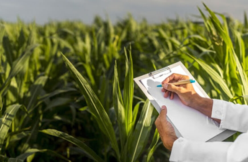 El gobierno liquidó normativa kirchnerista destinada al agro: Adiós a los DJEC, el fideicomiso aceitero y la Unidad de Perspectiva de Género del Ministerio de Agricultura