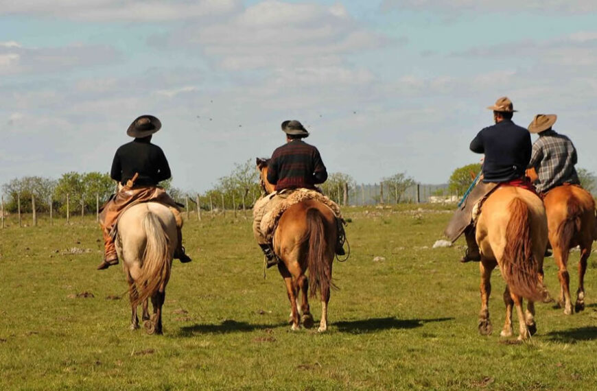 Nuevo aumento para trabajadores rurales: cómo quedan los básicos en diciembre 2024