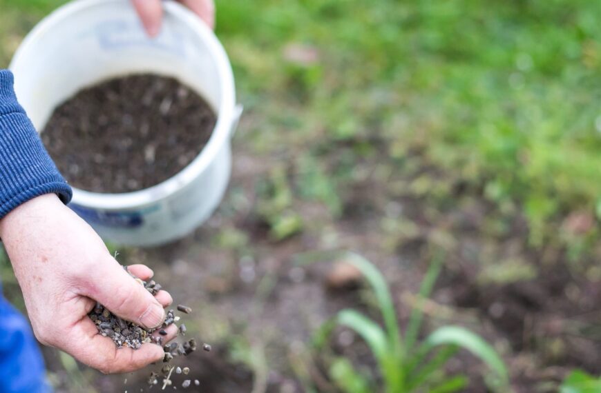 Fertilización: el tiempo del Fósforo