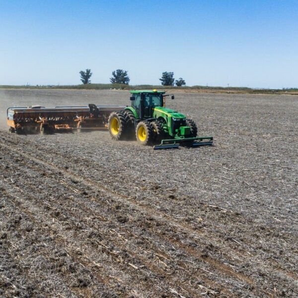 La Niña sería ‘débil’ pero otros factores climáticos adversos marcarán la campaña 2024/2025