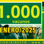 ATREU-CO | Macachín | Próximo Remate Feria el martes 14 de enero de 2024