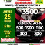 Néstor Hugo Fuentes S.A. | General Acha – La Pampa | Próximo Remate Feria el jueves 25 de julio 2024