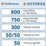 Vicar Ganadera S.A. | Victorica | Próximo Remate Feria el jueves 16 de enero de 2025