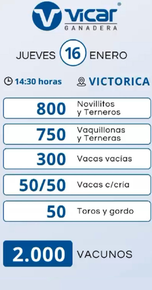 Vicar Ganadera S.A. | Victorica | Próximo Remate Feria el jueves 16 de enero de 2025