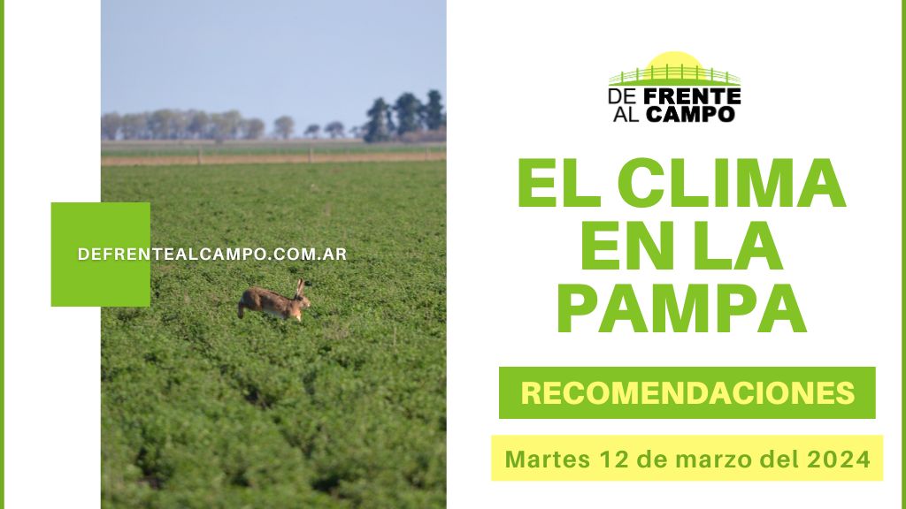 Clima y recomendaciones para La Pampa, hoy martes 12 de marzo de 2024: Tormentas fuertes con lluvias intensas, ráfagas y ocasional caída de granizo