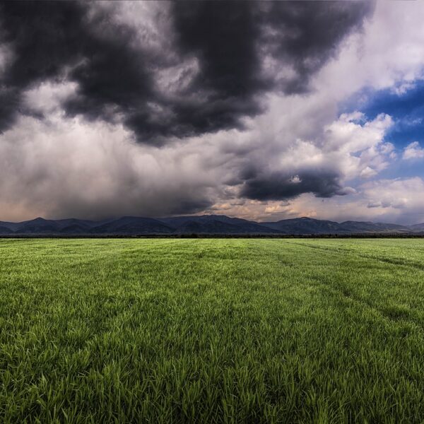 El clima sopla a favor: llegan más lluvias, que alcanzarán a casi todas las zonas productivas