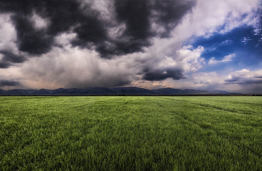 El clima sopla a favor: llegan más lluvias, que alcanzarán a casi todas las zonas productivas