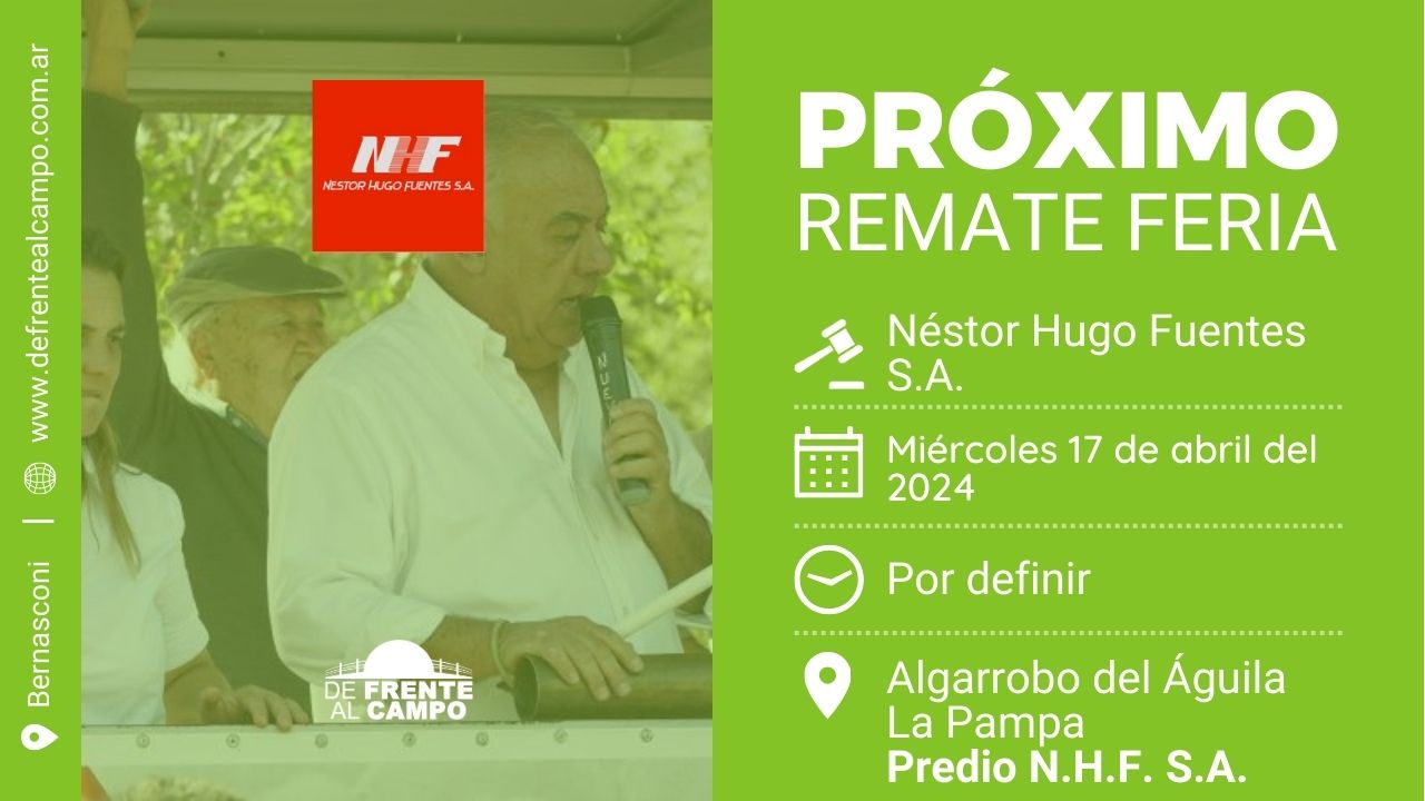 Néstor Hugo Fuentes S.A. | Algarrobo del Águila – L.P. | Próximo Remate Feria el miércoles 17 de abril del 2024