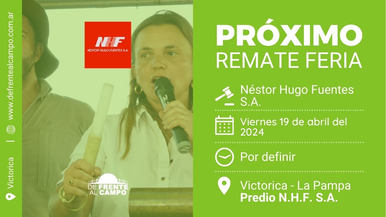 Néstor Hugo Fuentes S.A. | Victorica – L.P. | Próximo Remate Feria el viernes 19 de abril del 2024