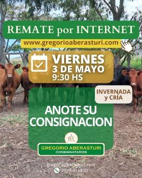 Gregorio Aberasturi SRL | Remate por internet | Próximo Remate Feria el viernes 03 de mayo del 2024