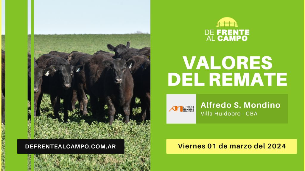 Valores de remate | Alfredo S. Mondino – Villa Huidobro – CBA | 01-03-2024