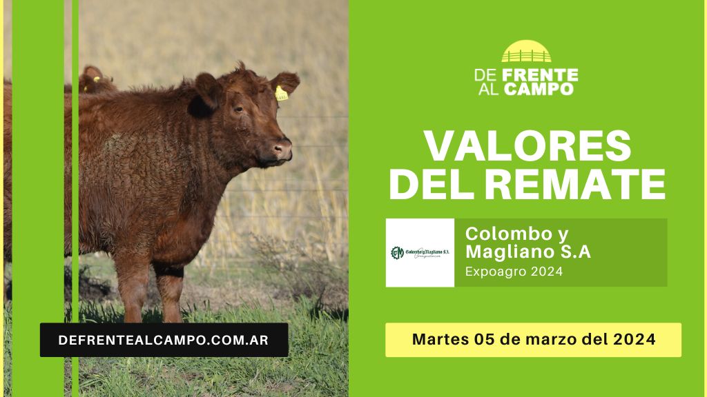 Valores de remate | Colombo y Magliano S.A. – Expoagro 2024 | 05-03-2024