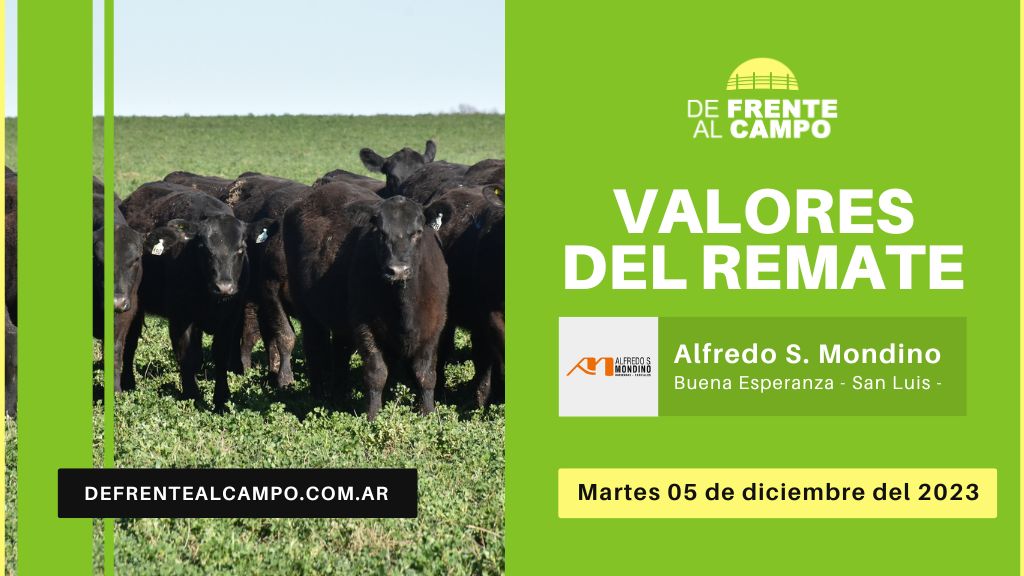 Valores de remate | Alfredo S. Mondino – Bna. Esperanza | 05-12-2023