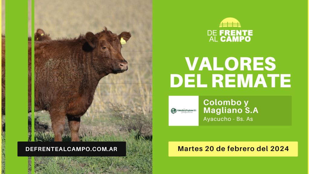 Valores de remate | Colombo y Magliano S.A. – Ayacucho – Bs. As. | 20-02-2024