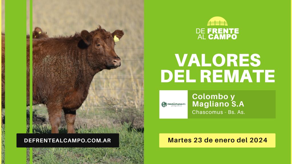 Valores de remate | Colombo y Magliano S.A. – Chascomus – Bs. As. | 23-01-2024