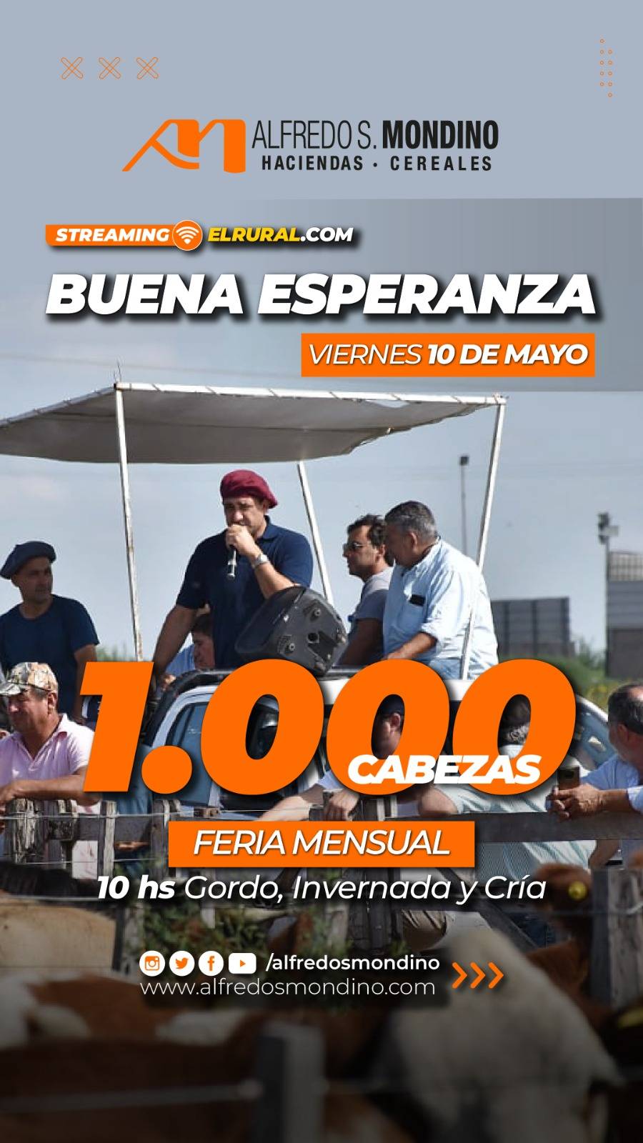 Alfredo S. Mondino | Buena Esperanza – San Luis | Próximo Remate Feria el viernes 10 de mayo del 2024