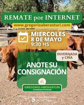 Gregorio Aberasturi SRL | Por internet | Próximo Remate Feria el miércoles 08 de mayo del 2024