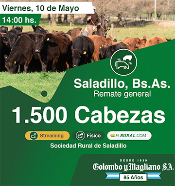 Colombo y Magliano S.A | Saladillo, Bs. As. | Próximo Remate Feria el Viernes 10 de Mayo del 2024