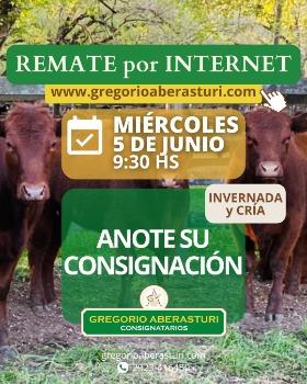 Gregorio Aberasturi SRL | Por internet | Próximo Remate Feria el miércoles 05 de junio del 2024