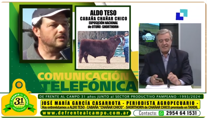 Entrevista: Aldo Teso de Cabaña «Chañar Chico»: Grandes logros en la Exposición Nacional de Otoño del Shorthorn 