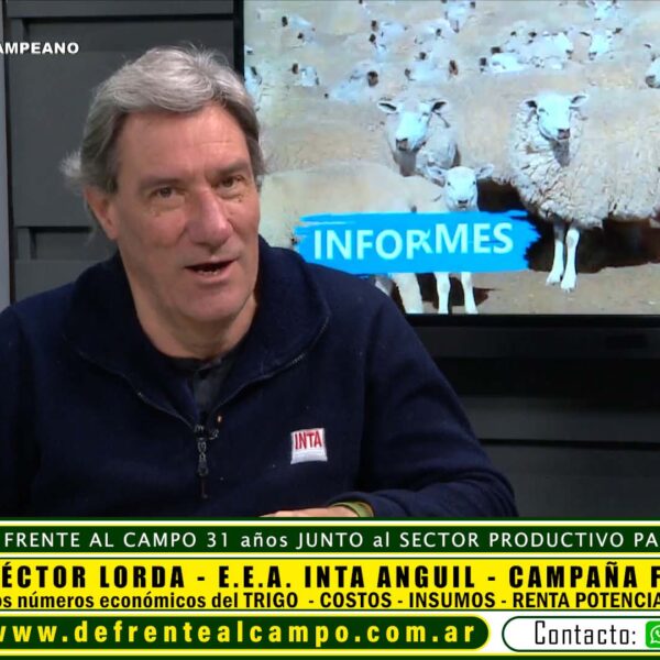 Entrevista: Héctor Lorda – Inta Anguil – Los números de la Campaña Fina 2024/2025