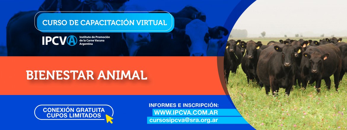 Capacitación virtual del IPCVA: Bienestar Animal