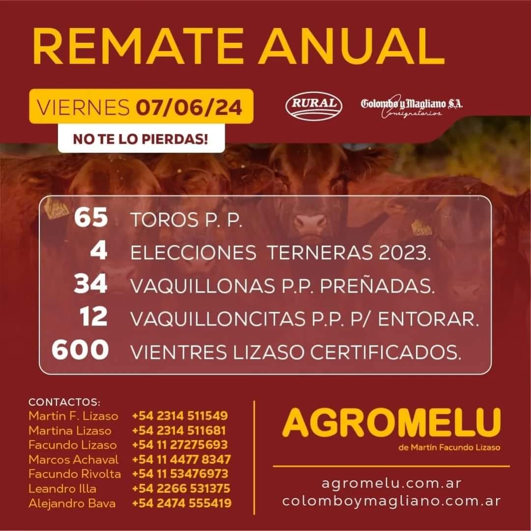 Colombo y Magliano S.A | San Antonio de Areco, Bs. As. | Próximo Remate Feria el viernes 07 de junio del 2024