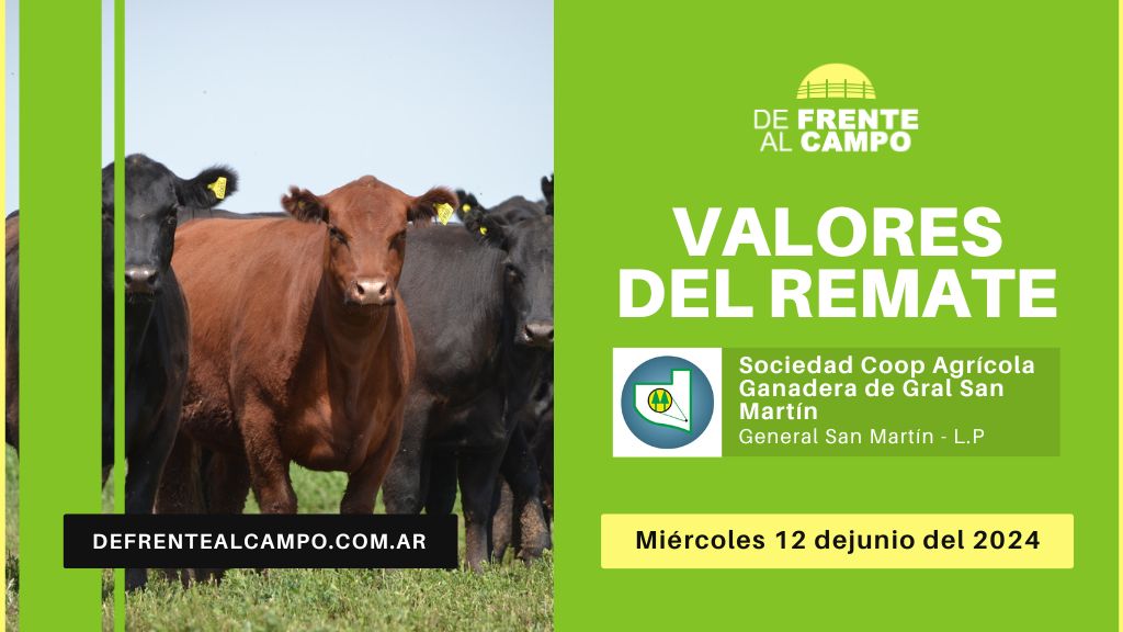 Valores del remate de Sociedad Cooperativa Agrícola Ganadera Ltda. | General San Martín – L.P. | 12-06-2024