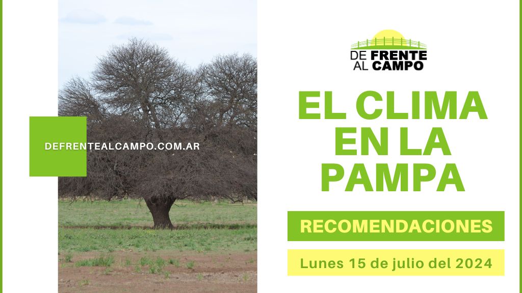 La Pampa: Clima agradable con cielo parcialmente nublado para este lunes 15 de julio 2024