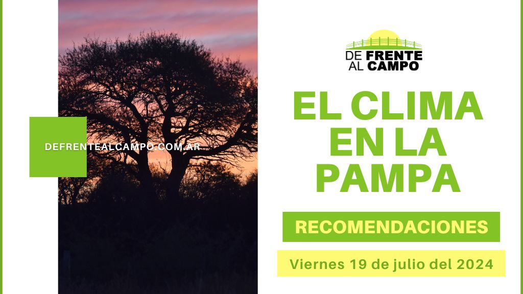 Viernes fresco con ráfagas de viento en La Pampa: Pronóstico y recomendaciones para el 19 de julio 2024