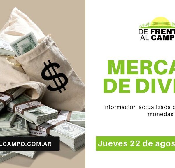 Dólar y Euro en Movimiento este jueves 22/08: Leve Alza Oficial y Baja en el Blue