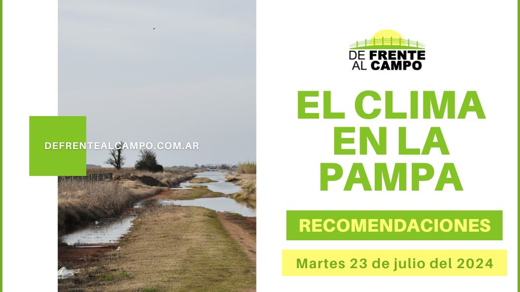 Martes soleado en La Pampa: Pronóstico y recomendaciones