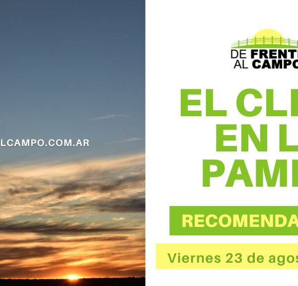 Clima y Recomendaciones para La Pampa: Cielos Parcialmente Cubiertos, Vientos del Sur y Chaparrones Aislados (23 de Agosto 2024)