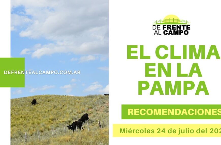 La Pampa: Amanecer radiante y tarde nublada, con descenso de temperatura. ¡Recomendaciones para hoy Miércoles 24! ️