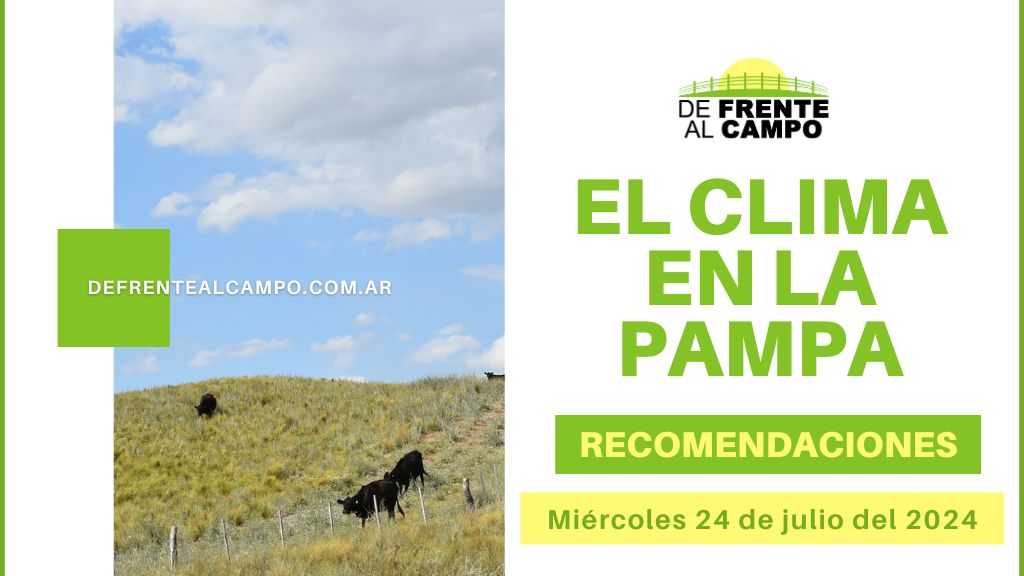 La Pampa: Amanecer radiante y tarde nublada, con descenso de temperatura. ¡Recomendaciones para hoy Miércoles 24! ️