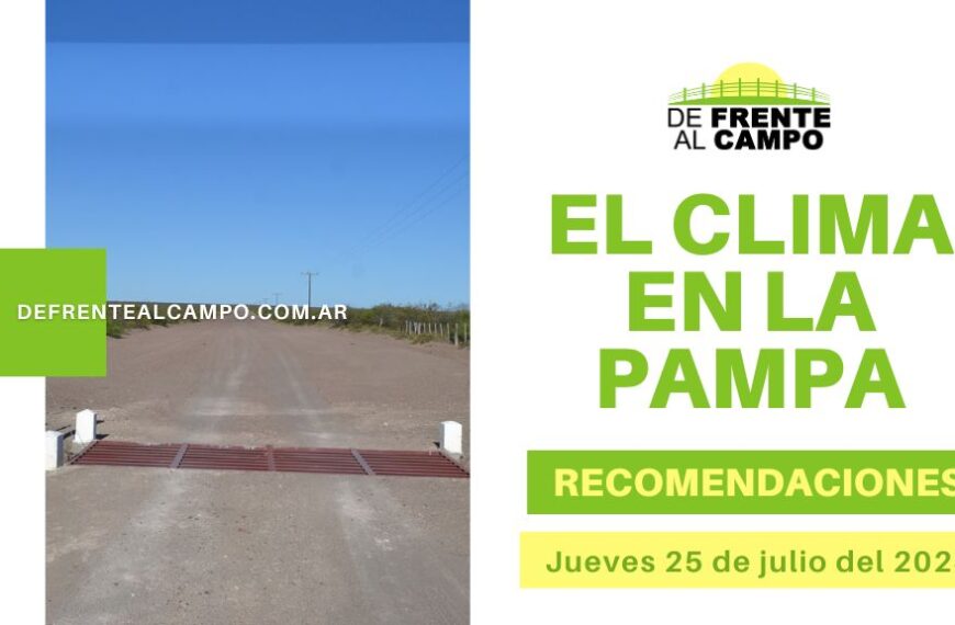 Clima y recomendaciones para La Pampa, hoy jueves 25 de julio de 2024