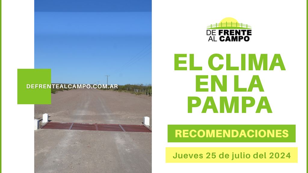 Clima y recomendaciones para La Pampa, hoy jueves 25 de julio de 2024