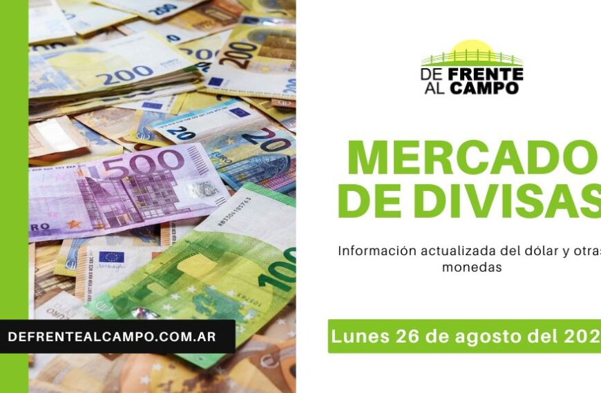 Dólar y Euro: ¡Últimas Cotizaciones del 26 de Agosto 2024! Hoy el Dólar Oficial subió un 0,13% y el Euro Blue registró un incremento del 0,38%