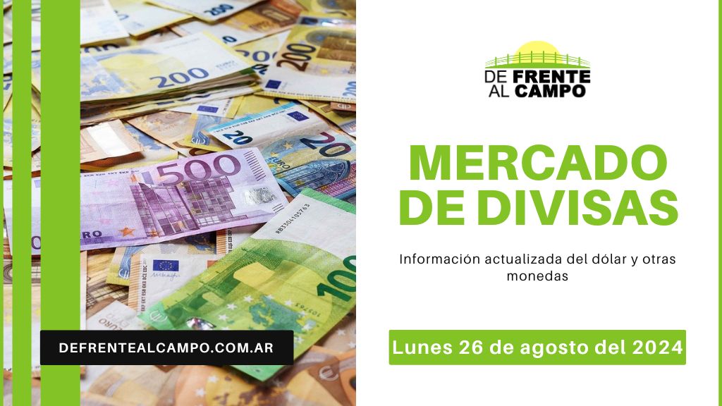 Dólar y Euro: ¡Últimas Cotizaciones del 26 de Agosto 2024! Hoy el Dólar Oficial subió un 0,13% y el Euro Blue registró un incremento del 0,38%