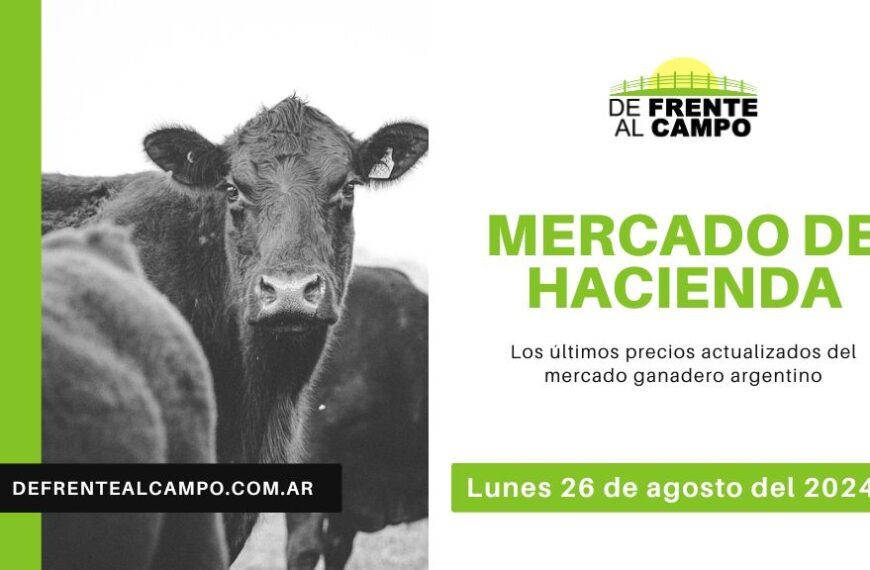 Jornada Sin Movimientos en el Mercado de Cañuelas: Pausa en los Índices y Categorías – lunes 26 de agosto de 2024