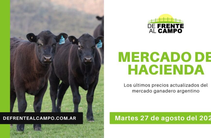 ¡Informe del Mercado Ganadero de Cañuelas del 27/08/2024! El Precio Novillo subió a $1.984,81, mientras que el Índice General bajó a $1.814,79.